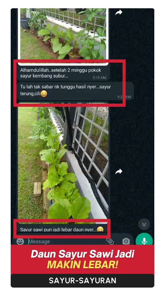 Testimoni-Sayur-1.webp